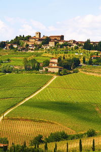 Scenic view of agricultural field against sky