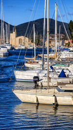 Sailboats moored in harbor