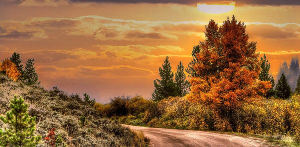 Scenic view of road at sunset