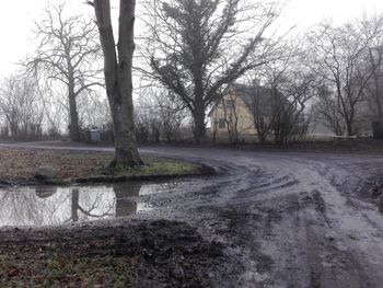 Bare trees on landscape against sky during winter