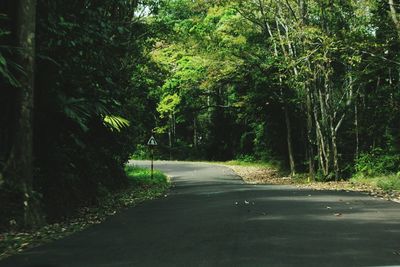 Empty road amidst trees in forest