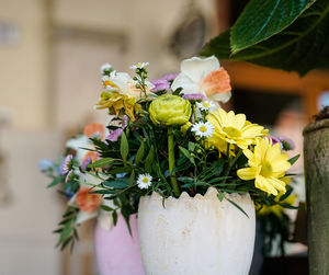 Close-up of potted plant