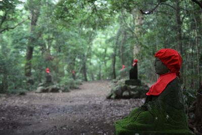 Statues in forest
