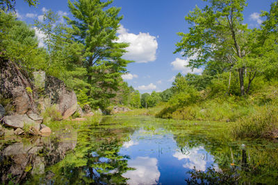 Reflection of trees in lake against sky