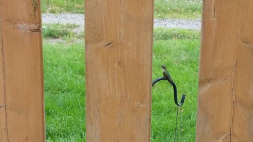 Close-up of wooden door