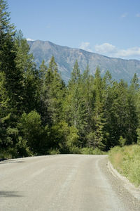 Road amidst trees against sky