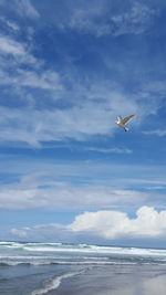 Seagull flying over sea against sky