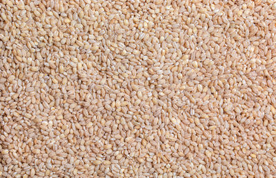 Pearl barley background close-up, top view. pearl barley closeup, grain texture, top view. 