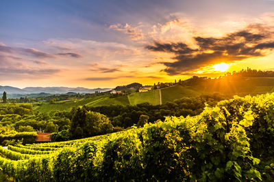 Scenic view of landscape against sky during sunset