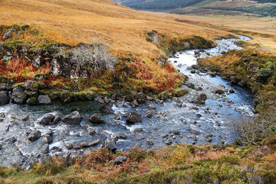 Stream flowing through landscape