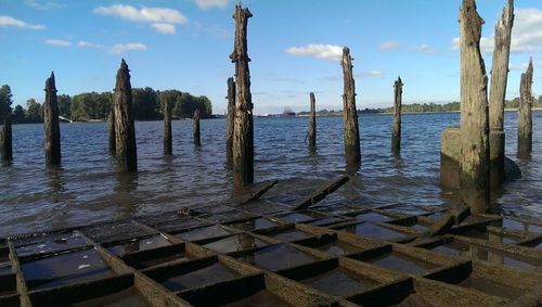 Wooden posts in the sea
