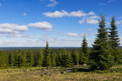 wilderness