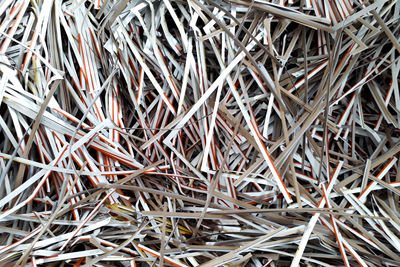 Full frame shot of plants