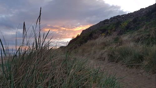 View of beach against cloudy sky