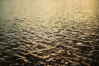 Full frame shot of rippled water