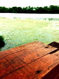 Close-up of wood on field by lake