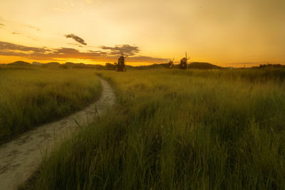 Scenic view of field against sky during sunset