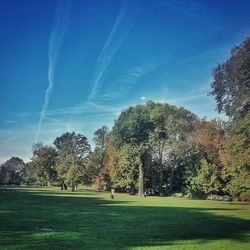 Scenic view of grassy field against sky