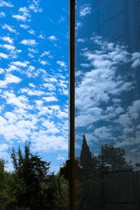 Low angle view of trees against blue sky