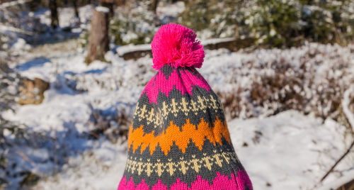 Close-up of hat standing against snow covered trees
