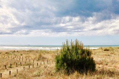 Scenic view of sea against sky