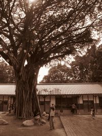 Silhouette of woman in park