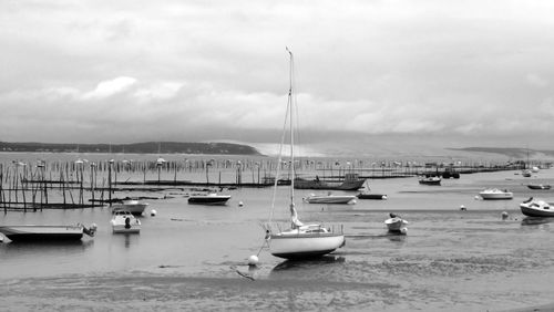 Sailboats moored at harbor against cloudy sky