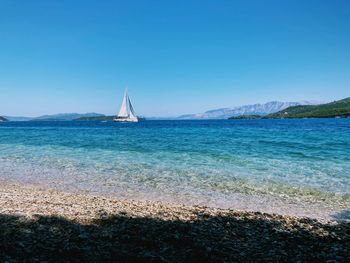 Sailboat sailing in sea against clear blue sky