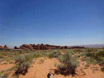 Scenic view of landscape against clear blue sky