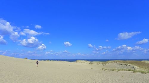 Scenic view of beach against blue sky