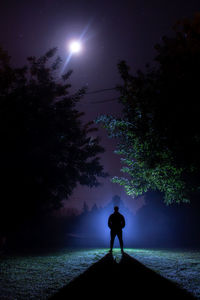Rear view of silhouette man against trees at night