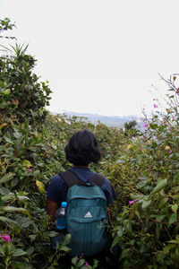 Rear view of boy standing on field against clear sky