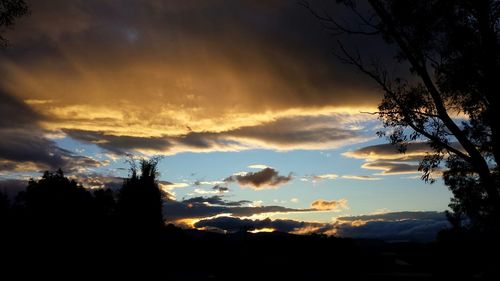 Silhouette of trees against cloudy sky