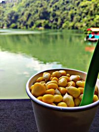Close-up of food in cup by lake