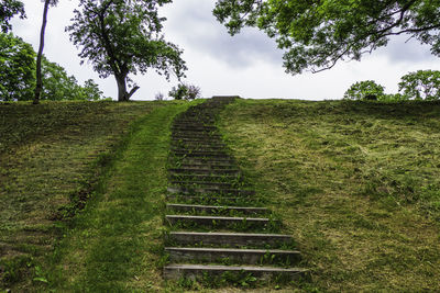 Scenic view of the field against sky