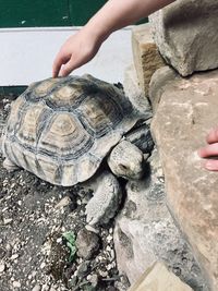 Midsection of person holding shells