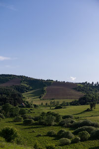Scenic view of landscape against clear sky