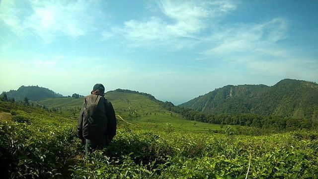 landscape, mountain, sky, tranquil scene, tranquility, grass, scenics, rear view, beauty in nature, field, nature, leisure activity, lifestyles, men, cloud - sky, green color, mountain range, plant