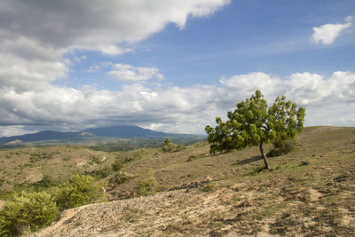 Scenic view of landscape against cloudy sky