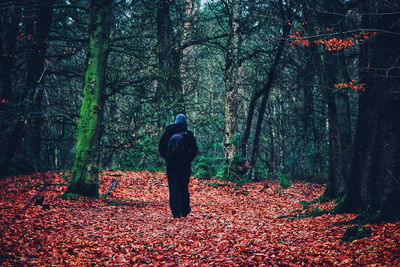 Rear view of man in forest