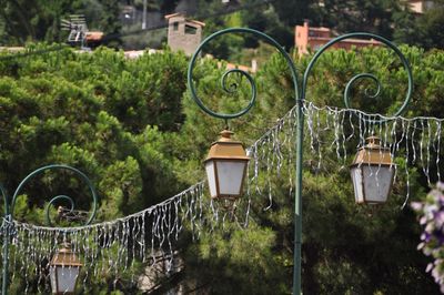 Electric lamp hanging on street in yard