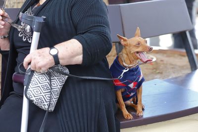 An old woman with her pincher dog 