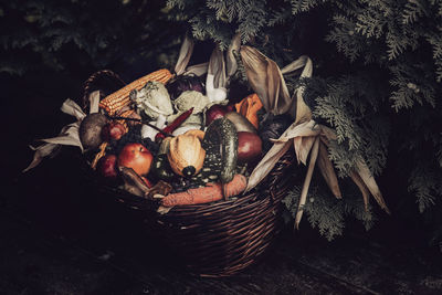 Close-up of pine cone in basket