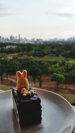 Close-up of rabbit icing on cake slice served in plate