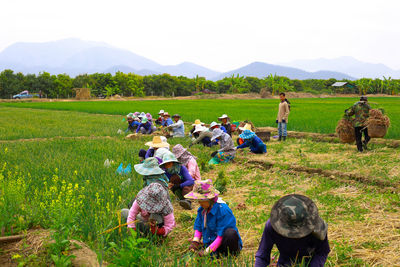 People working in farm against sky