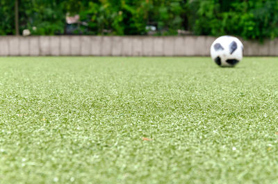 Surface level of soccer ball on field
