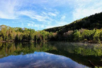 Reflection of trees in lake against sky