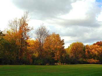 Scenic view of grassy field against sky