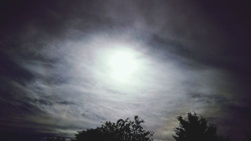 Low angle view of silhouette trees against sky