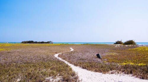 Scenic view of calm sea against clear sky